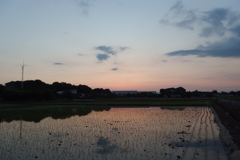 2016/06/05_水田の夕暮れ