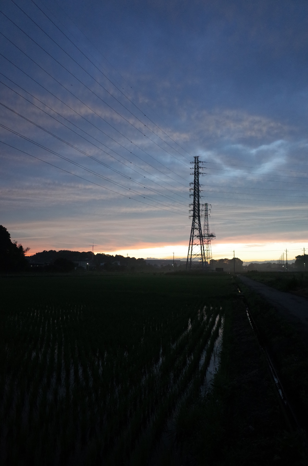 2015/06/27_水田の夕暮れ