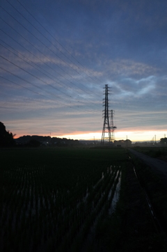 2015/06/27_水田の夕暮れ