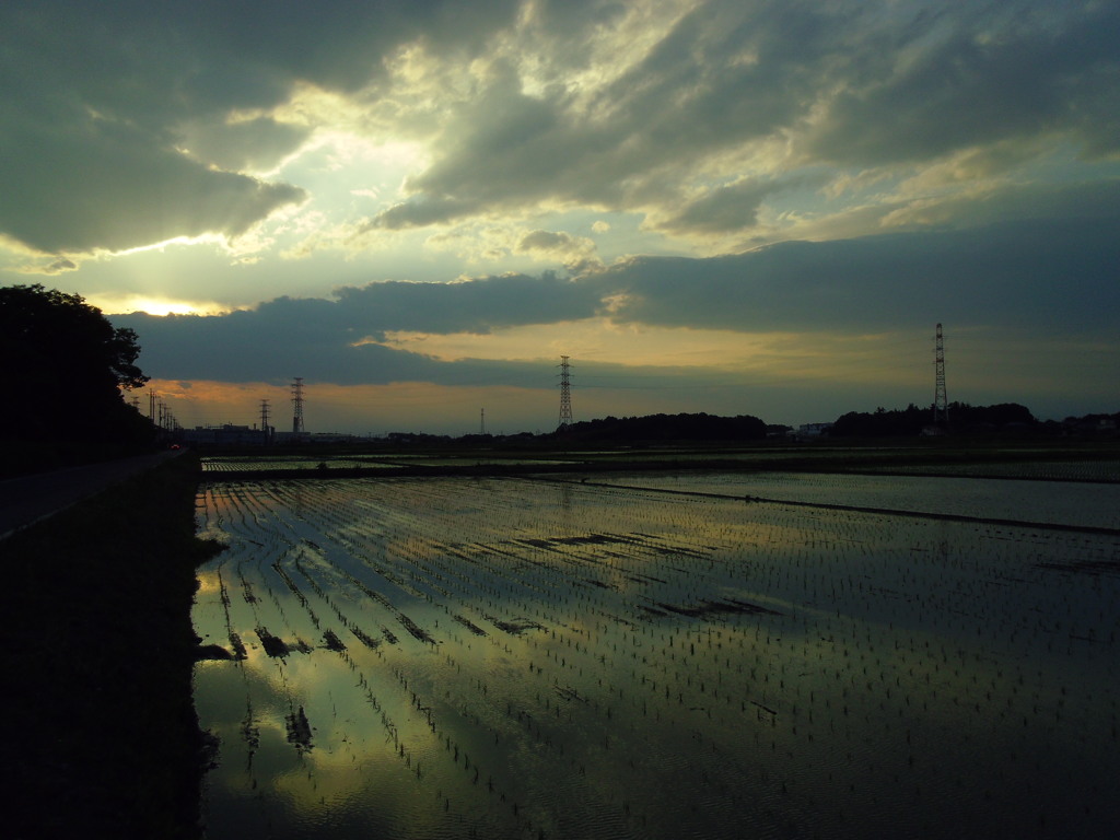 2017/06/10_水田の夕暮れ