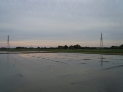 2017/05/03_水田の夕暮れ