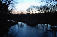 2015/02/15_夕暮れの秋葉の森総合公園