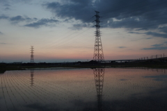 2016/06/05_水田の夕暮れ