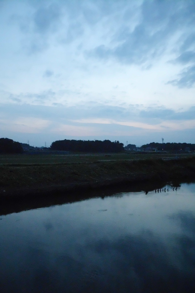 2014/10/12_元荒川の夕暮れ