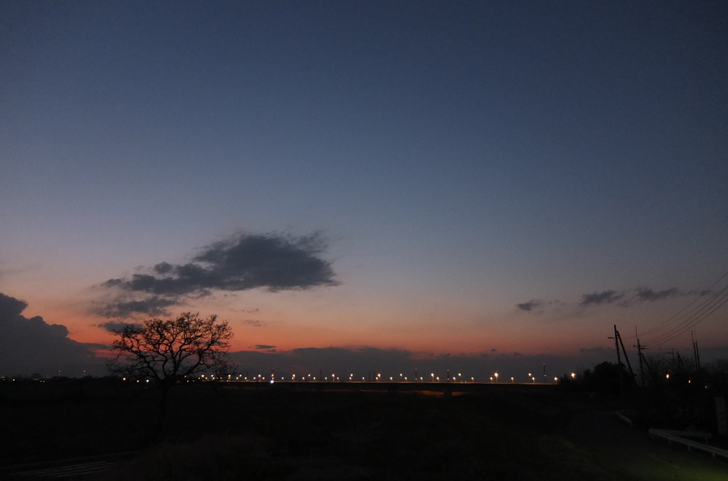 2014/03/09_夕暮れの木と太郎右衛門橋