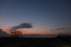 2014/03/09_夕暮れの木と太郎右衛門橋