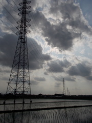 2017/06/11_水田に雲