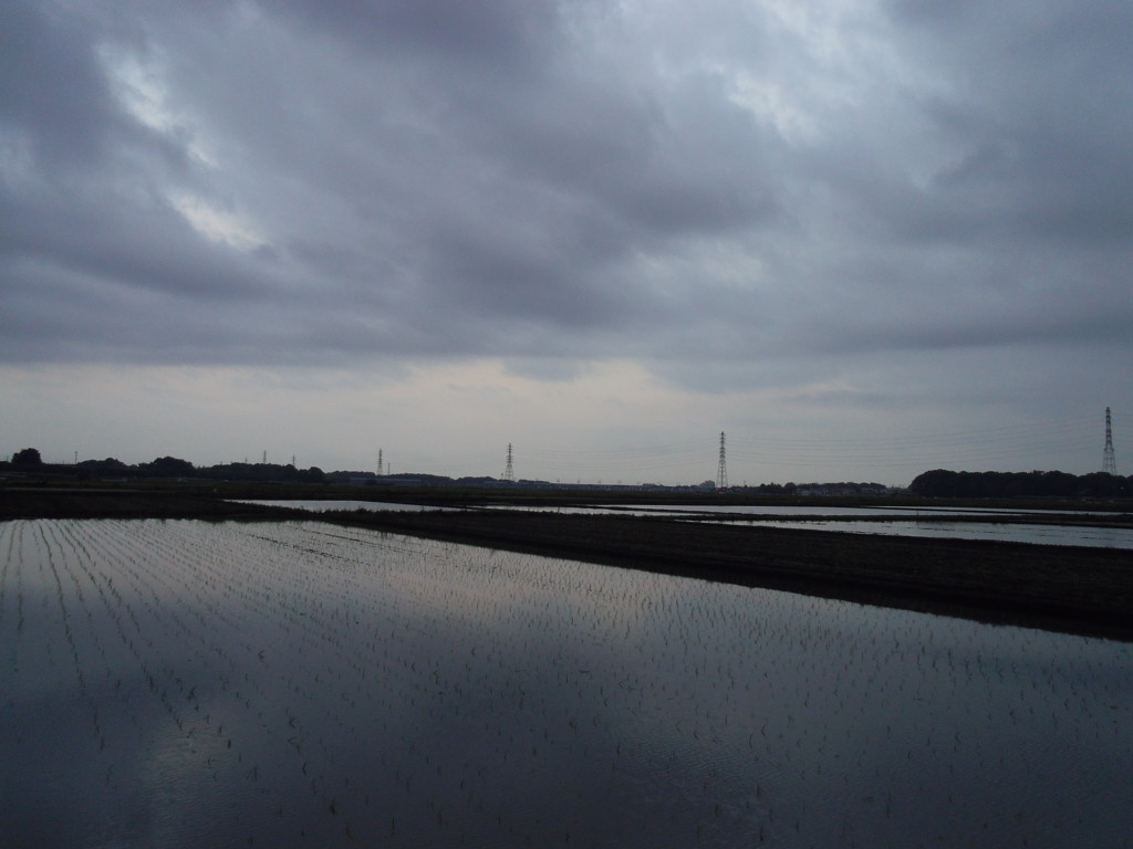 2017/05/27_水田の曇天