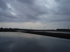 2017/05/27_水田の曇天