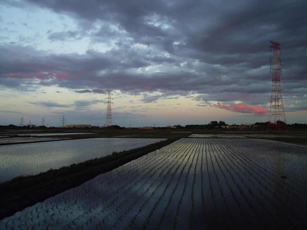 2017/06/04_水田の夕暮れ
