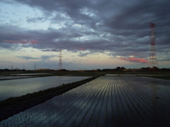 2017/06/04_水田の夕暮れ
