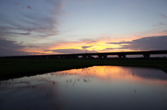 2015/07/19_水田の夕暮れ