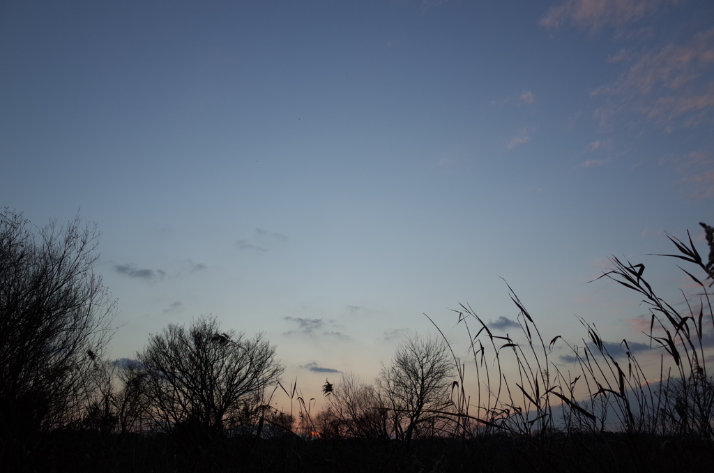 2015/12/31_夕暮れ