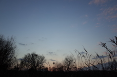 2015/12/31_夕暮れ