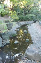 2015/11/03_岩槻城址公園