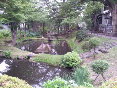 2016/07/16_盛岡城跡公園（岩手公園）鶴ケ池