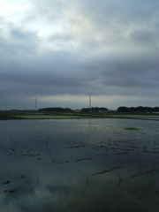 2017/05/27_水田の曇天