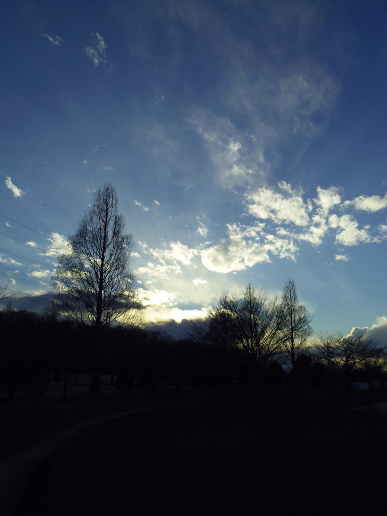 2017/02/11_花の丘農林公苑の夕暮れ