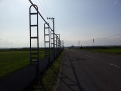 2018/07/15_防雪柵の道