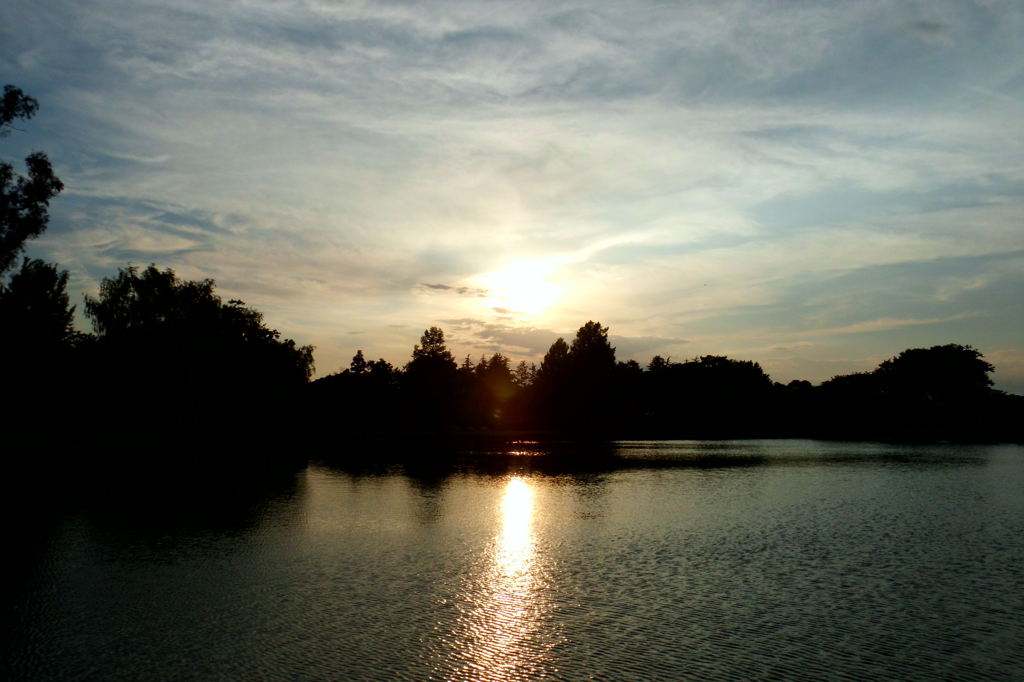 2014/06/15_夕暮れのしのぶ池