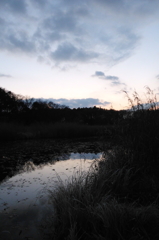 2015/12/31_赤坂沼の夕暮れ