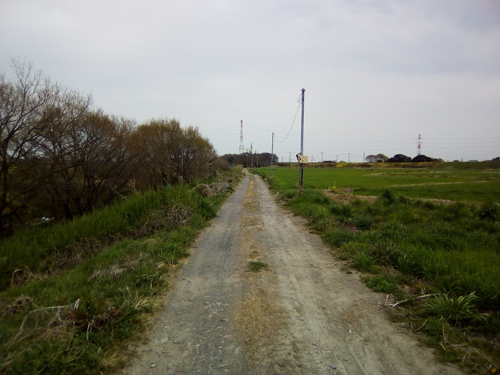 2019/04/07_河川敷の道