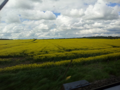 2016/05/22_エディンバラ〜ロンドン間車窓風景