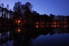 2014/12/14_夕暮れの別所沼公園