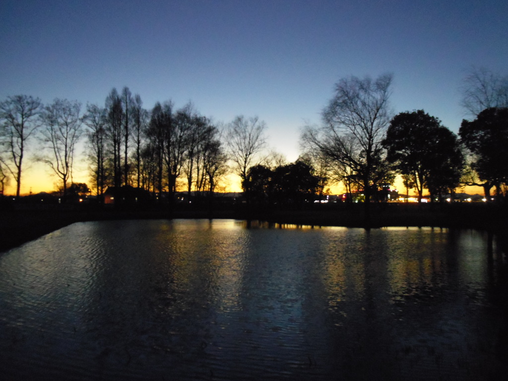 2016/12/30_さきたま古墳公園の夕暮れ