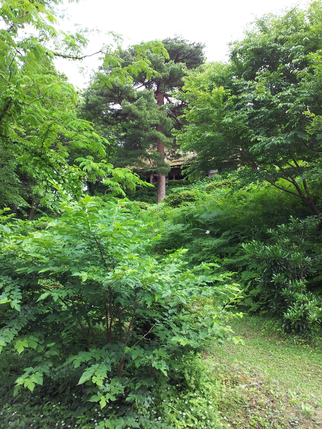 2018/06/16_天神山