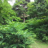 2018/06/16_天神山
