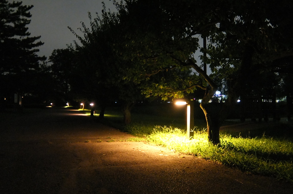 2014/08/17_夜のさきたま古墳公園