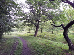 2016/07/17_小鹿公園