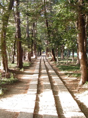 2017/05/04_神明神社参道（没カット）