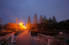 2015/04/19_夕暮れの伊奈町制施行記念公園