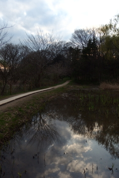 2016/03/26_北本自然観察公園
