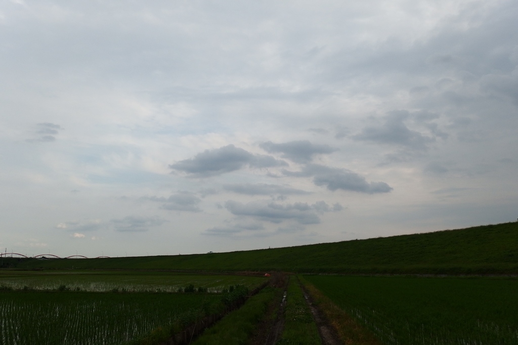 2015/06/20_曇天の荒川堤防