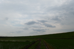 2015/06/20_曇天の荒川堤防