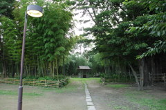 2014/07/06_竹林公園