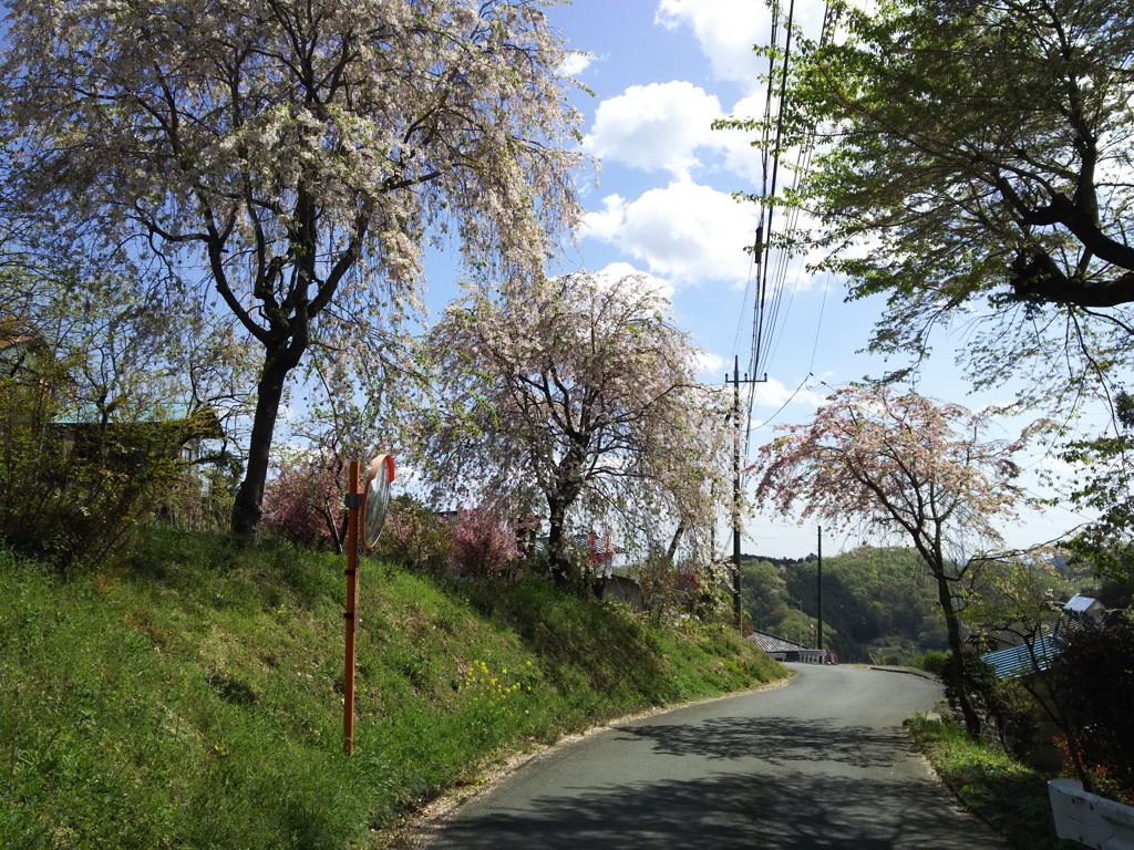 2018/04/08_花桃の郷