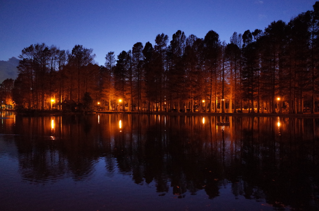 2014/12/14_夕暮れの別所沼公園