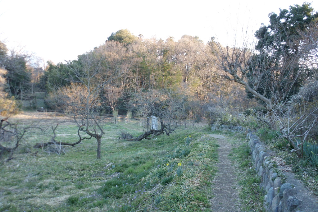 2014/03/22_高尾宮岡の景観地