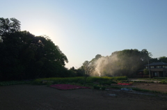 2015/04/26_畑に煙