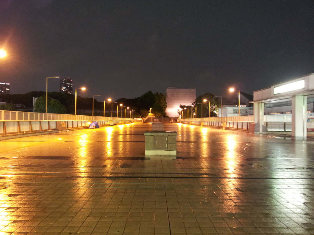 2016/05/06_夜、雨上がりのパンダ橋