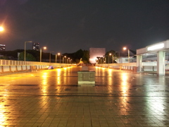 2016/05/06_夜、雨上がりのパンダ橋