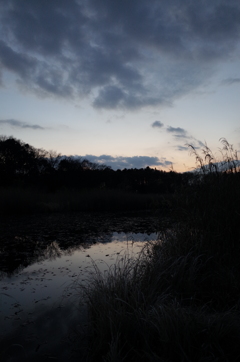2015/12/31_赤坂沼の夕暮れ