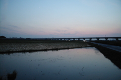 2015/07/11_水田の夕暮れ