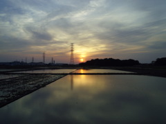 2017/05/21_水田の夕暮れ
