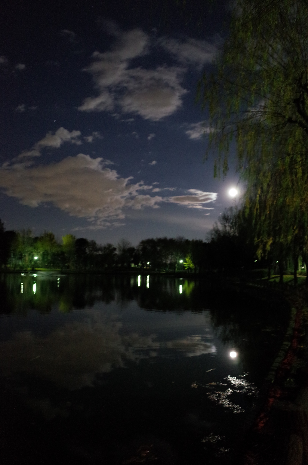 2014/12/06_月夜の北本総合公園