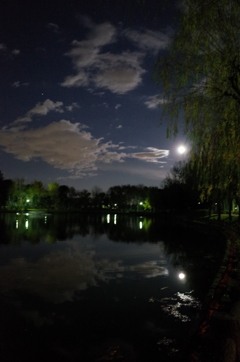 2014/12/06_月夜の北本総合公園